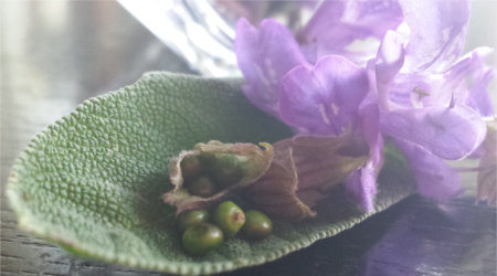 20140608_073019.jpg