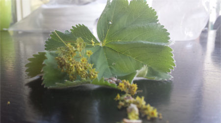 20140622_113040.jpg